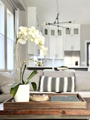 Smart TV, chimenea, libros y biblioteca musical 