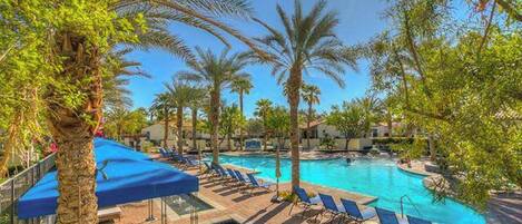 A resort pool area with lounge chairs and palm trees.