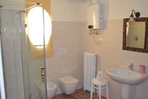 Shower, hair dryer, bidet, towels