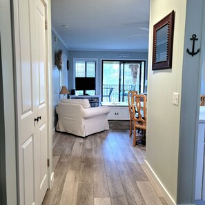 Televisio, DVD-soitin, kirjoja, videokirjasto