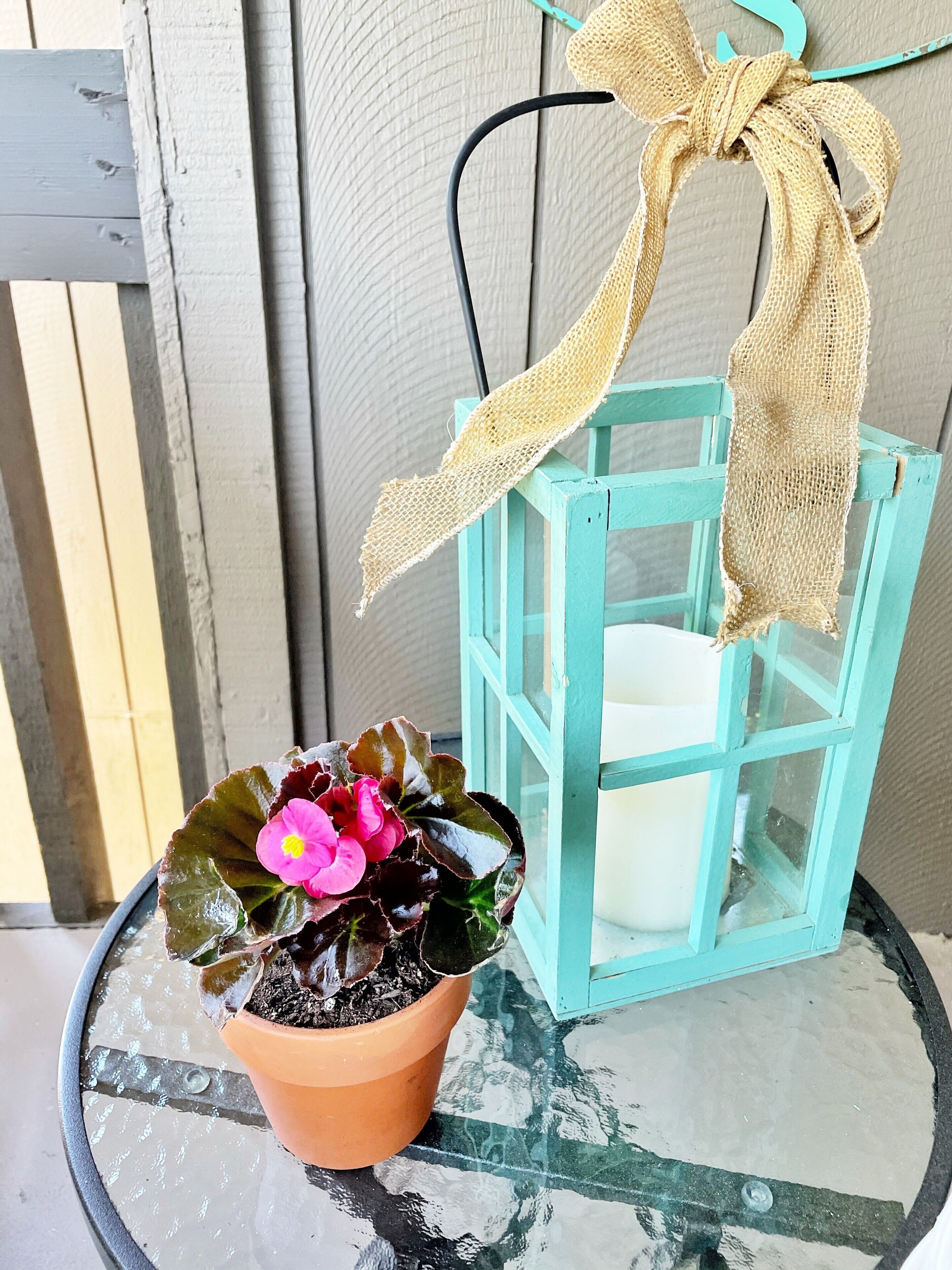 A terracotta pot with a pink flower on a glass table.