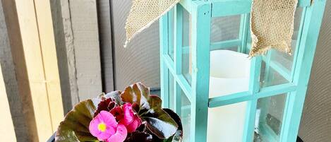 A terracotta pot with a pink flower on a glass table.