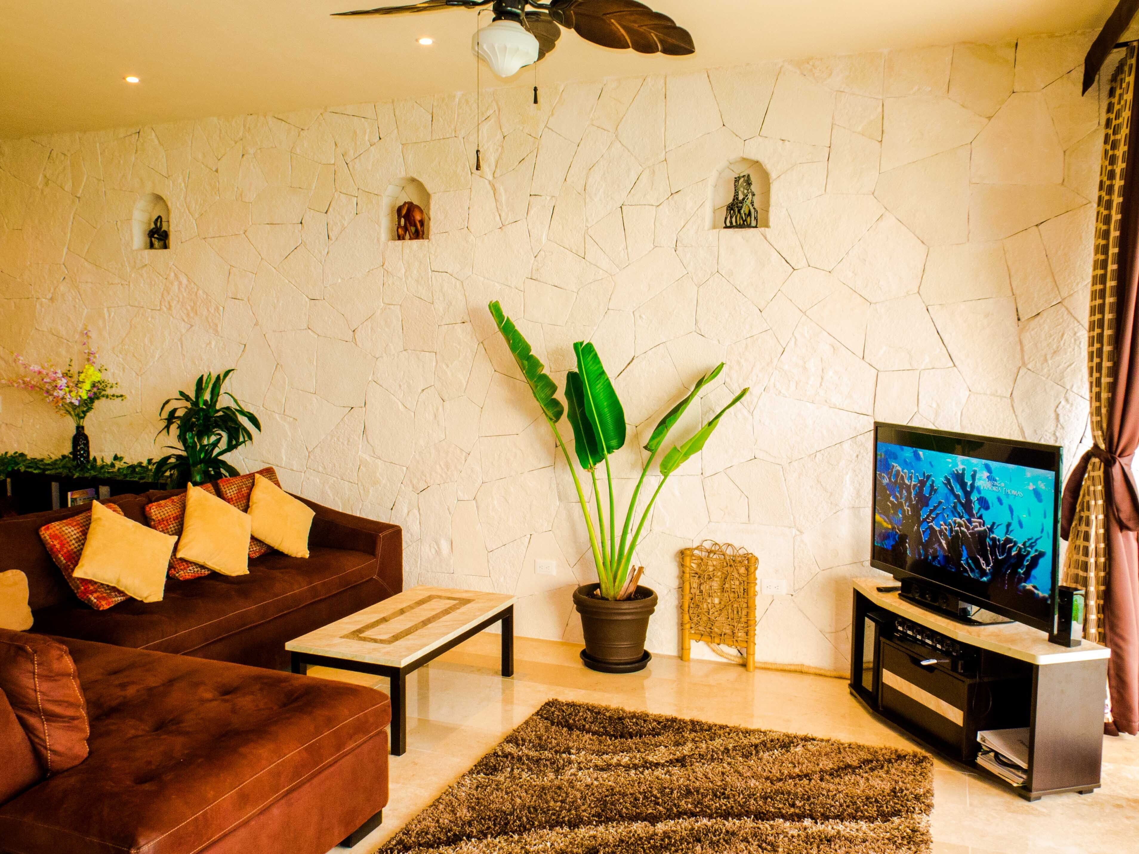 Una Smart TV, libros, una biblioteca de música