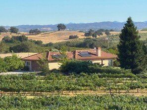 A vineyard with rows of grapevines and a house with a red-tiled roof.