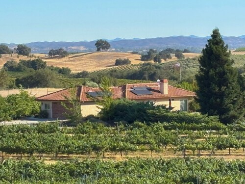 Peaceful Vineyard Escape, 2 Master Suites, Stunning Views & Authentic Pizza Oven