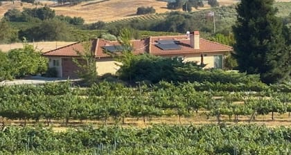 Peaceful Vineyard Escape, 2 Master Suites, Stunning Views & Authentic Pizza Oven