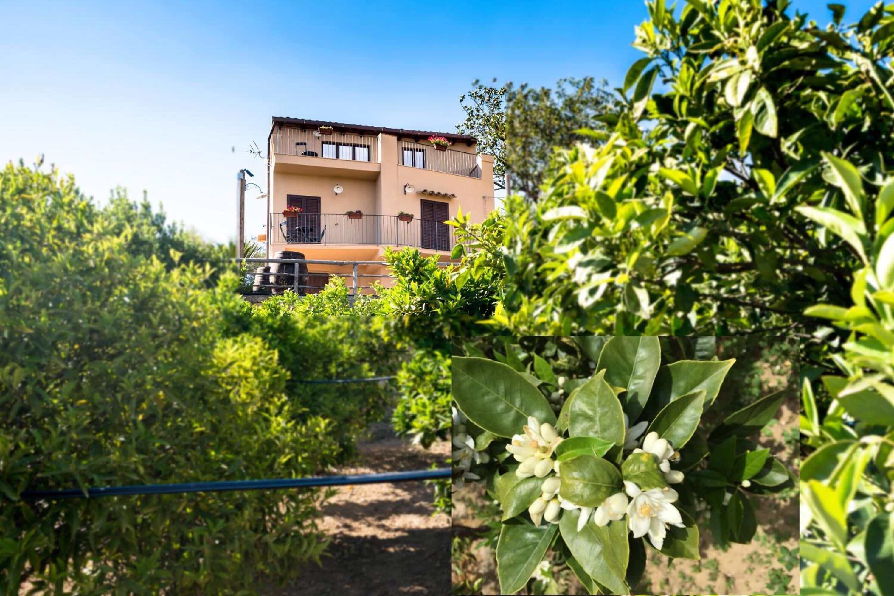 Foto - Parco dei Templi