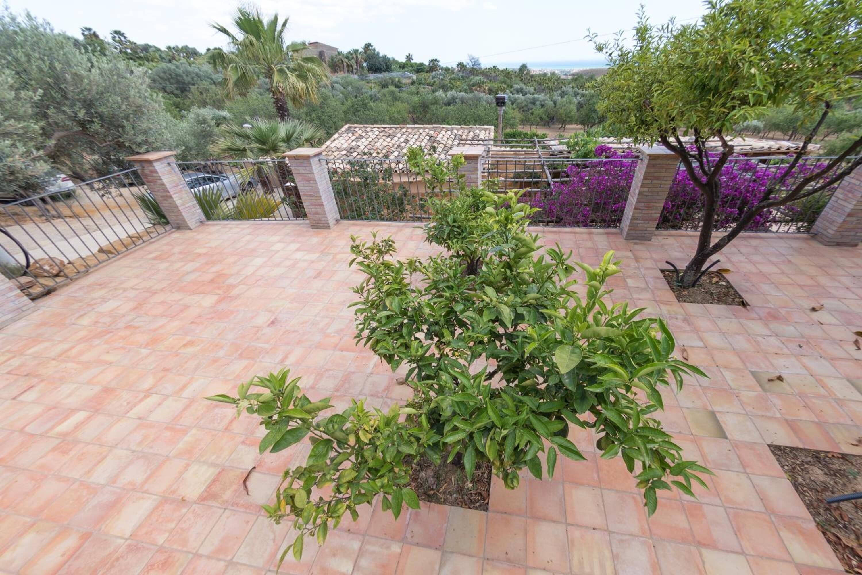 Photo - Parco dei Templi