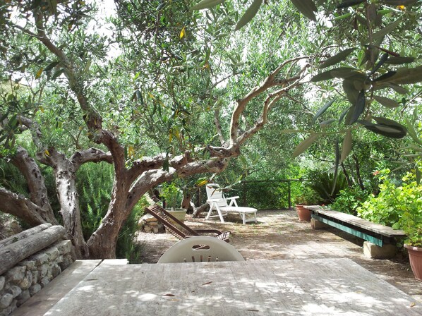 Terraza o patio
