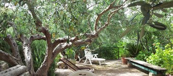 Charming countryside home