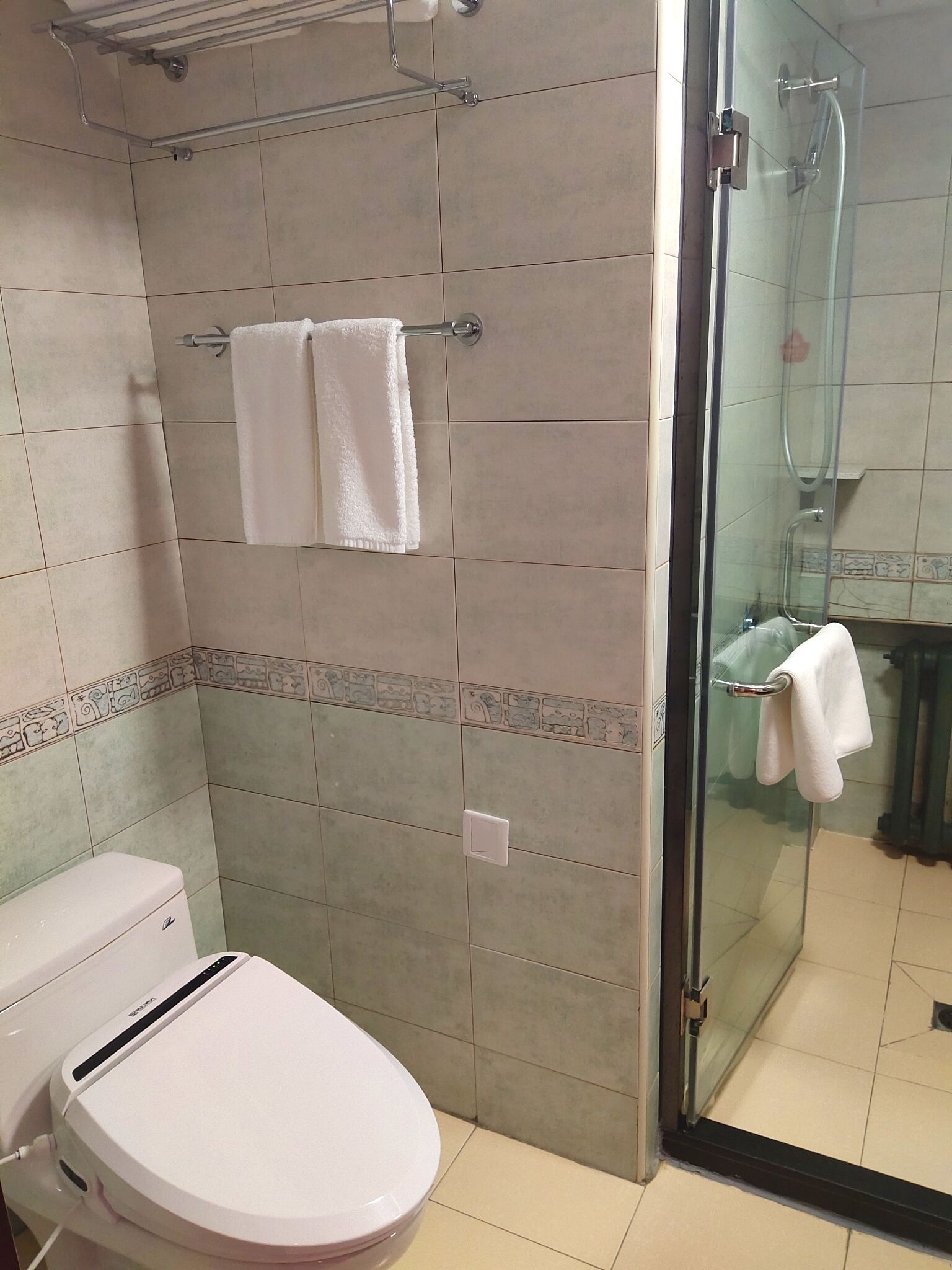 A bathroom with a toilet, a glass shower enclosure, and a towel rack.