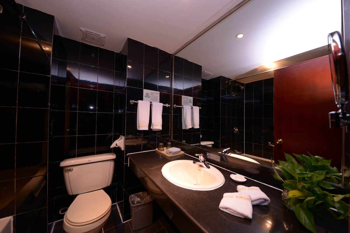 Dusch, gratis toalettartiklar, hårtork och tofflor