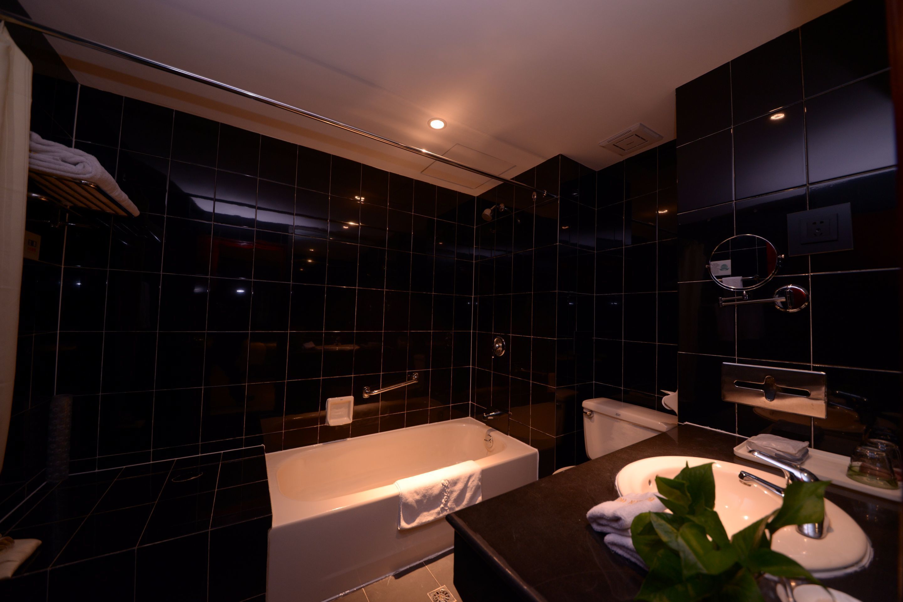 Deluxe Twin Room | Bathroom | Shower, free toiletries, hair dryer, slippers