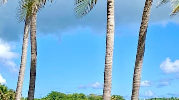 On the beach, beach towels
