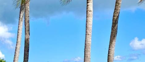 Sur la plage, serviettes de plage
