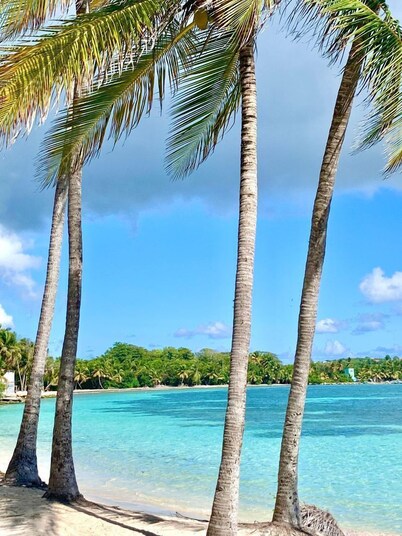 Spacious house with a beautiful unobstructed view of nature and the sea