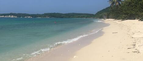 Een strand met helder turquoise water, een zandstrand en palmbomen.