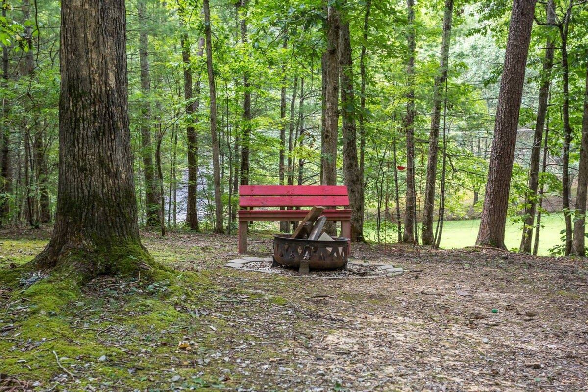 A forested area with a red bench and a metal fire pit.