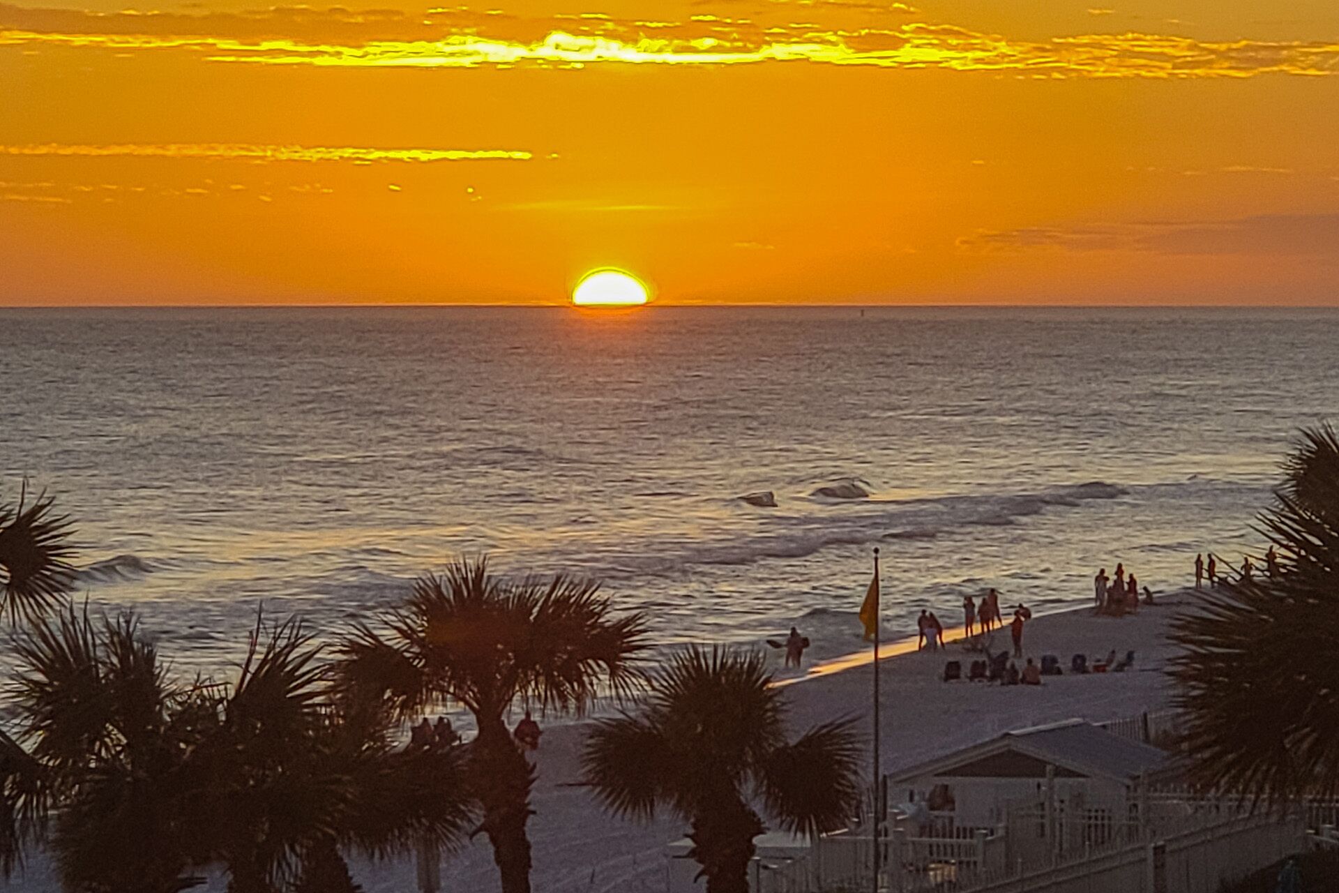 A beach with palm trees and a sunset.
