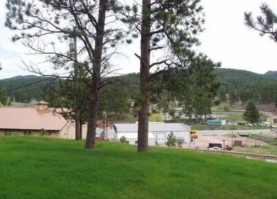 Tin Mill Cottage on a quiet wooded lot, walking distance to downtown!