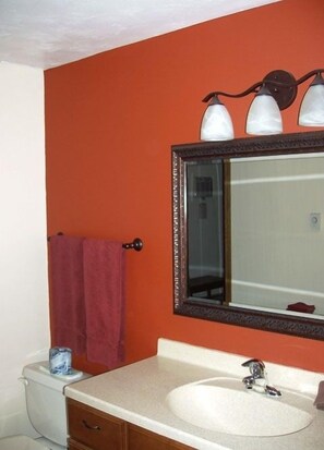 Ensemble baignoire-douche, séchoir à cheveux, serviettes fournies, savon