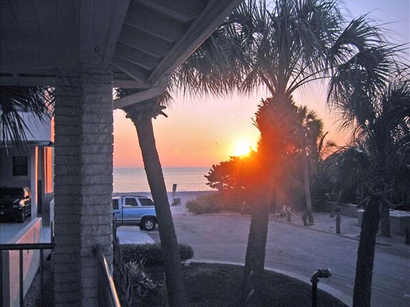 Property grounds - PRIVACY, RELAX with the DOLPHINS at the SEASIDE,no people. LOUNGERS & UMBRELLA,  (Madeira Beach)