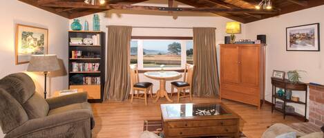 Smart-tv, een open haard, een dvd-speler en boeken