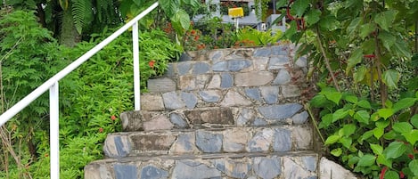 A stone staircase surrounded by lush greenery and a white railing.