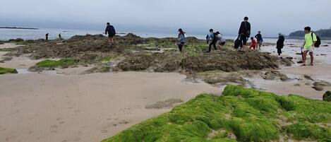 Een rotsachtig strand met mensen die lopen en staan.