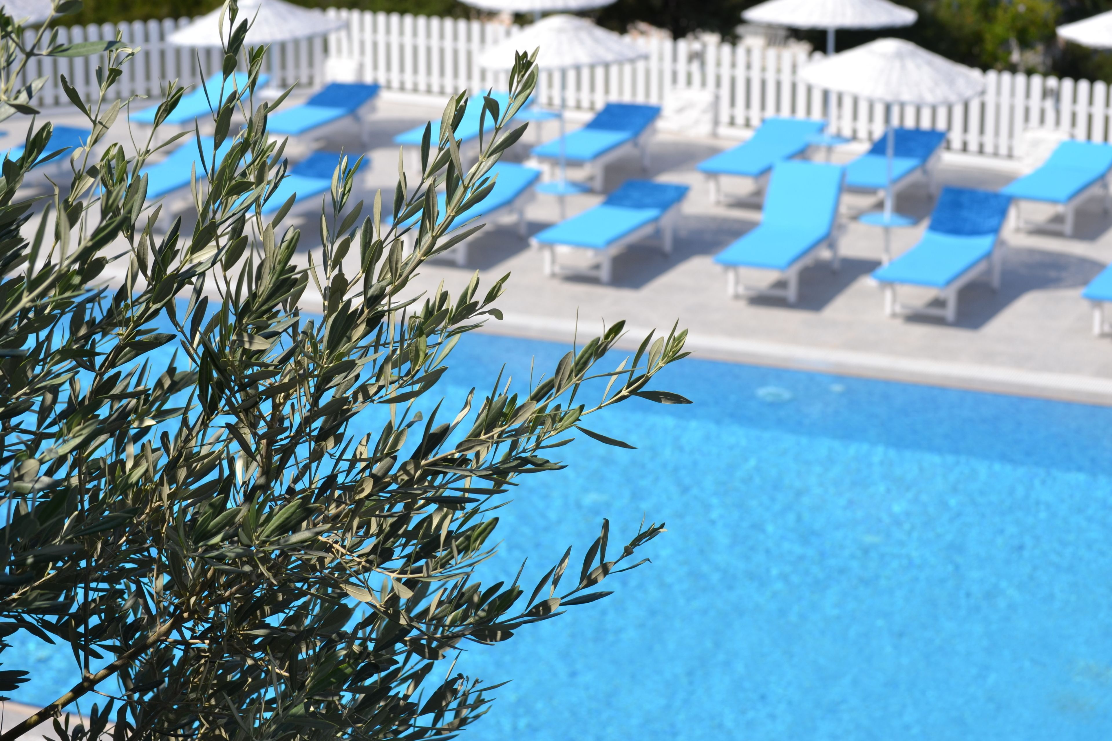 outdoor pool, pool loungers