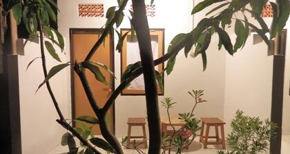 Backpacker Bali Barat