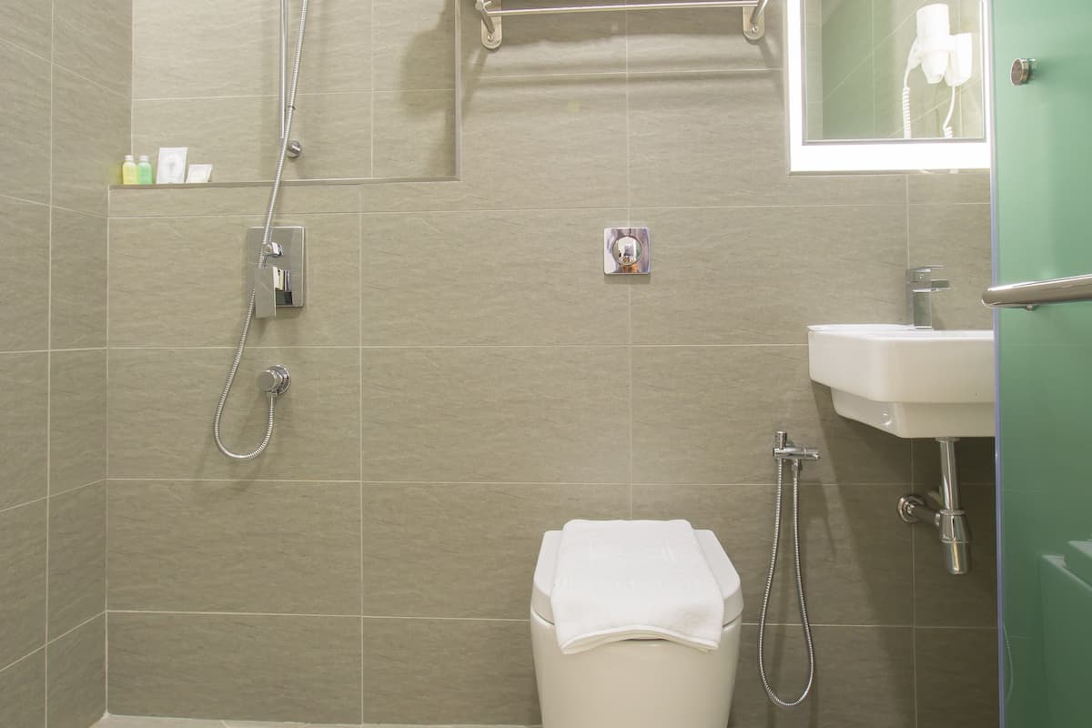 free toiletries, hair dryer, towels