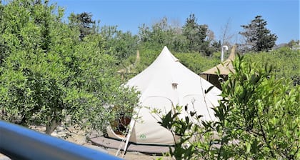 Azure Wellness Retreat - Adults Only
