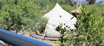 Azure Wellness Retreat - Adults Only