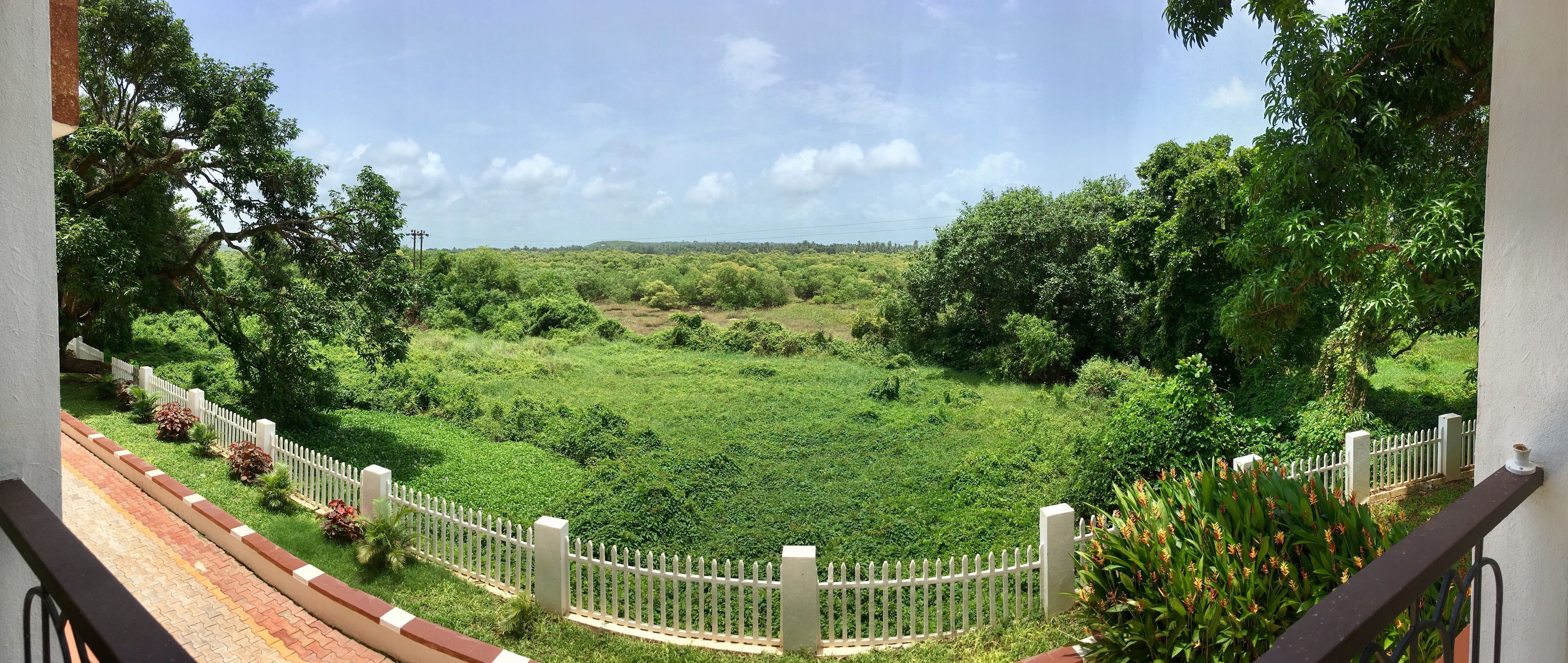 A view from a balcony overlooking a lush green landscape with a white fence and a brick pathway.