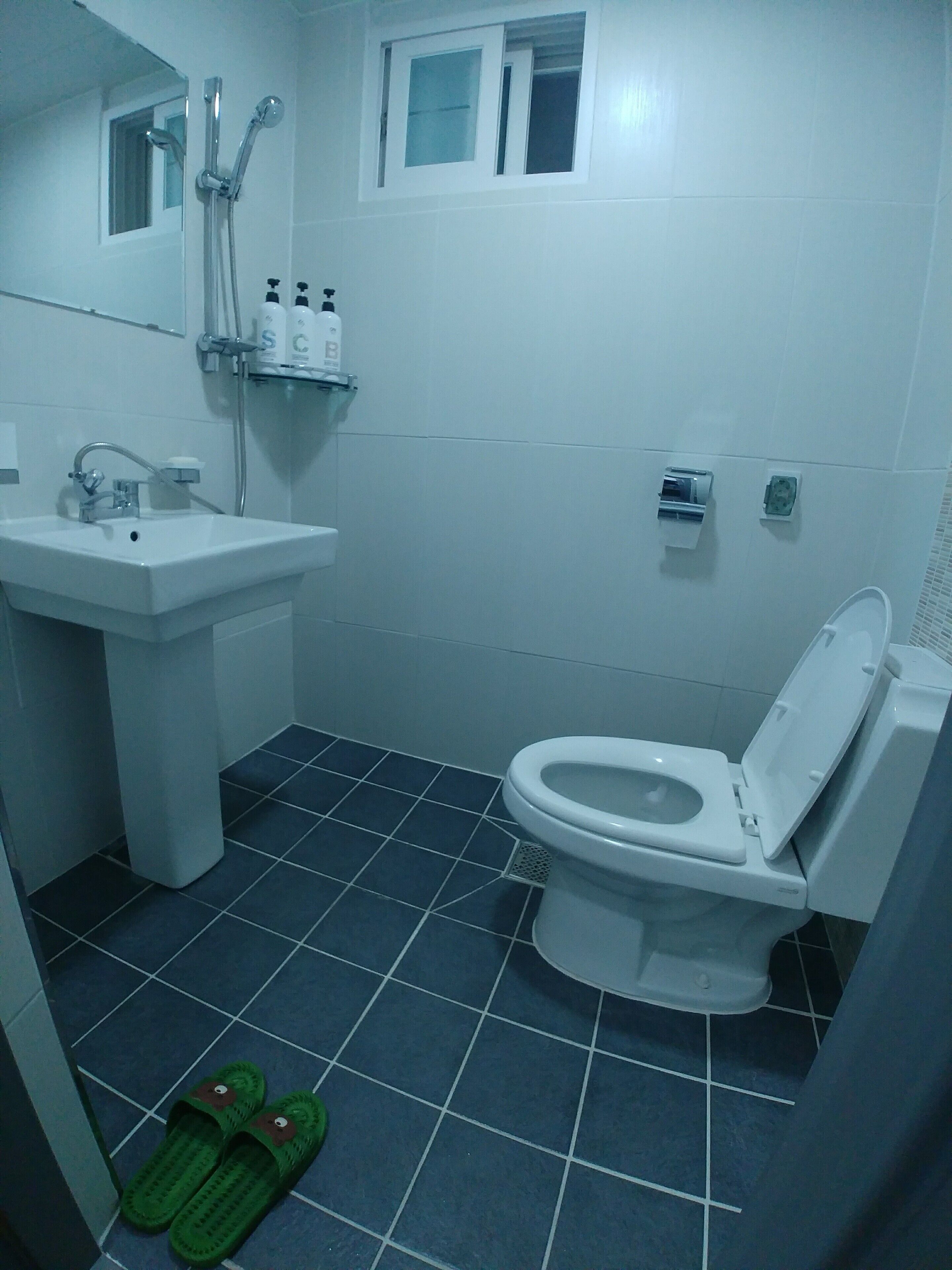 A bathroom with a white sink, a toilet, and a shower. There are slippers on the floor.
