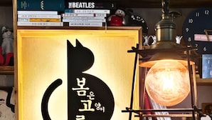 Una habitación con un cartel que dice "Guest House" y una estantería llena de libros y objetos decorativos.