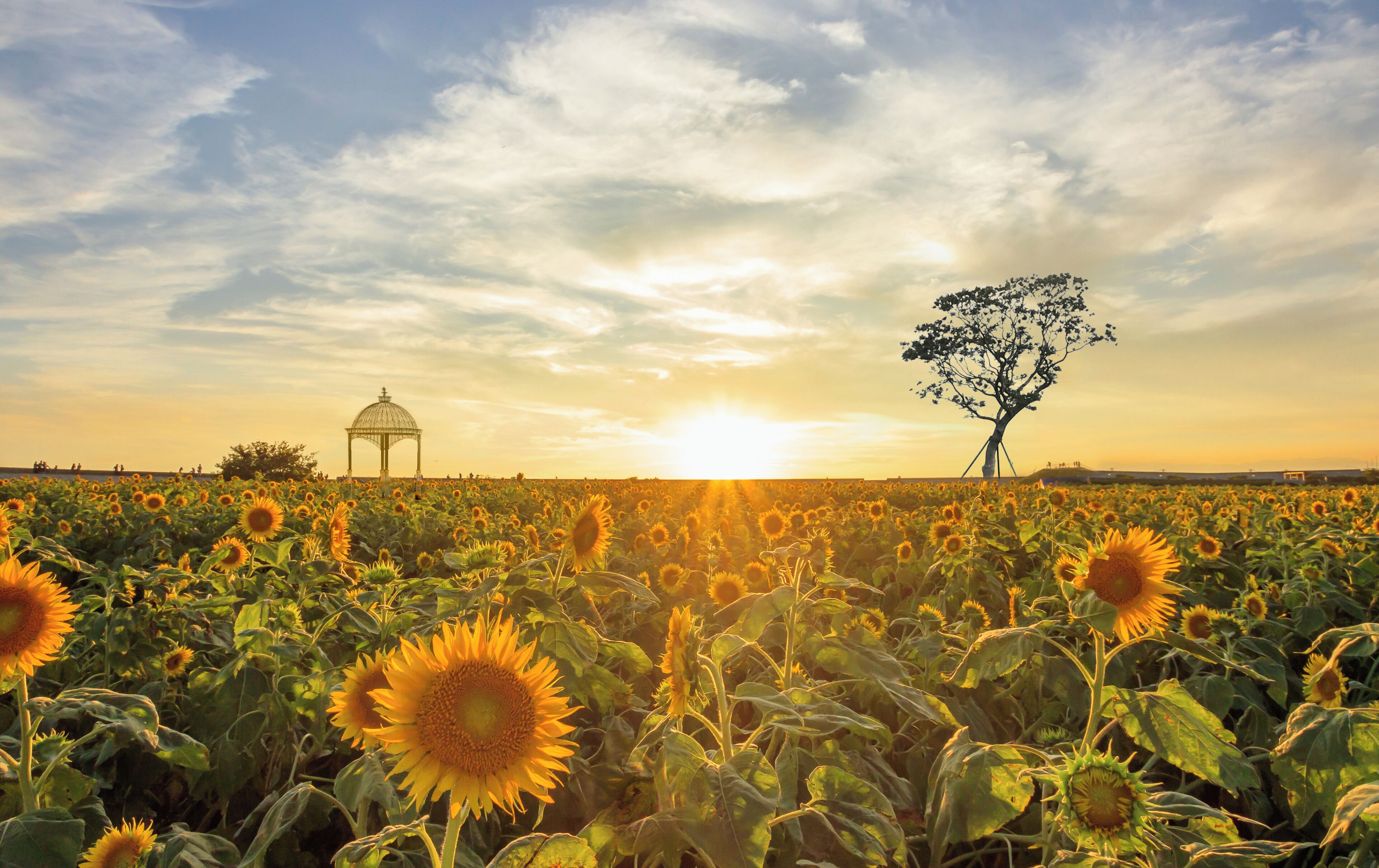 cleanliness standards