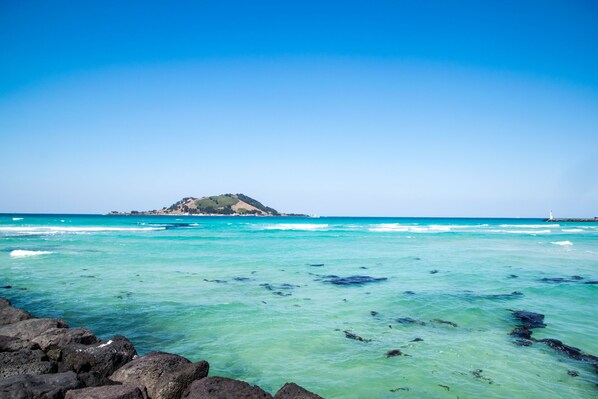 Point of interest - Landing Jeju Shinhwa World Hotels & Resorts (Seogwipo)