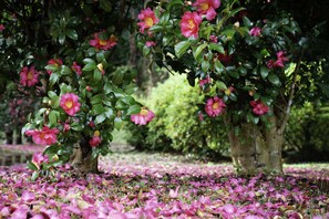 Point of interest - Landing Jeju Shinhwa World Hotels & Resorts (Seogwipo)