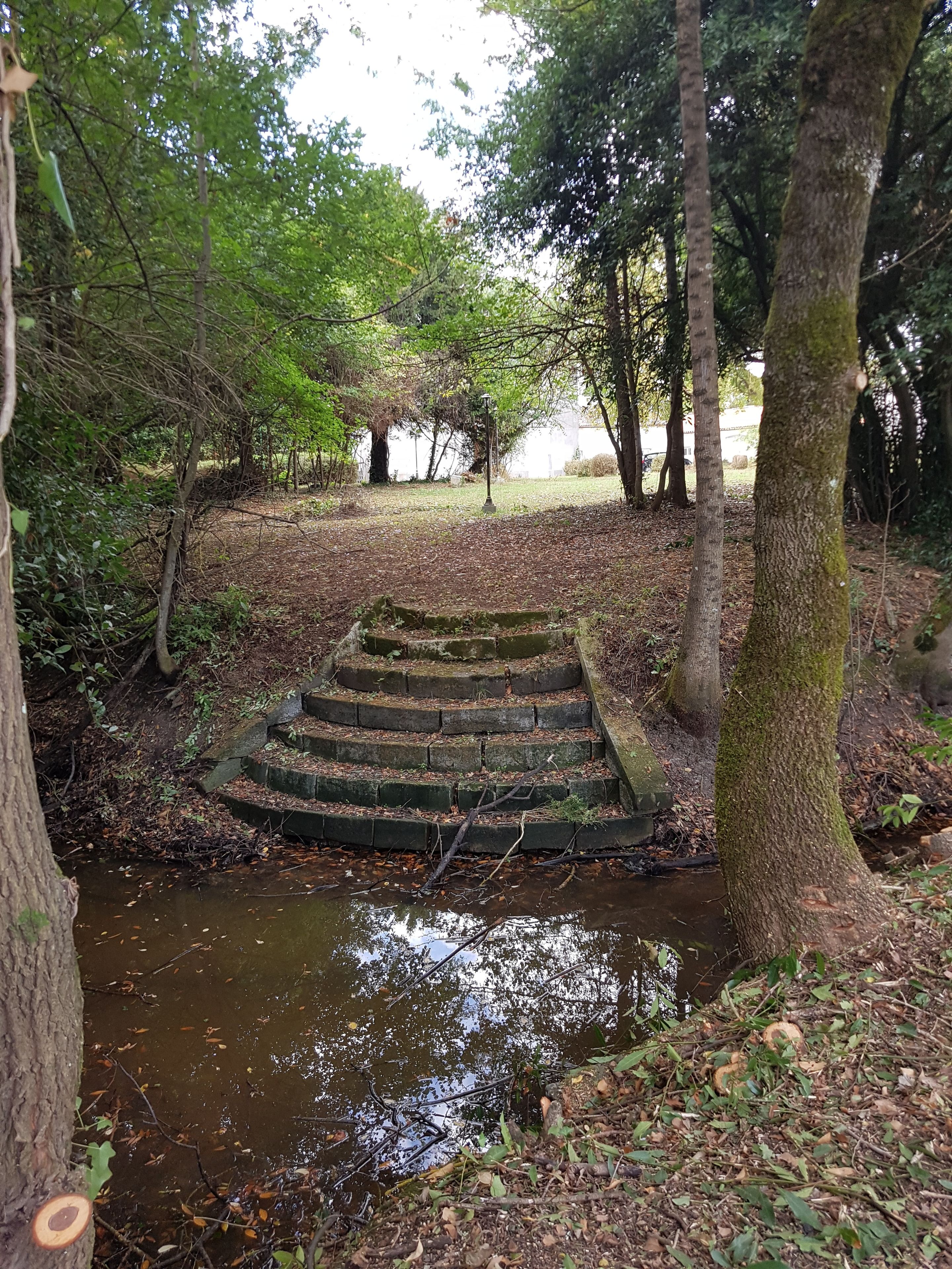 A stone staircase leading down to a small stream in a wooded area.
