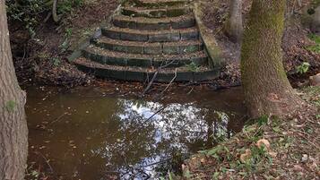 A stone staircase leading down to a small stream in a wooded area.