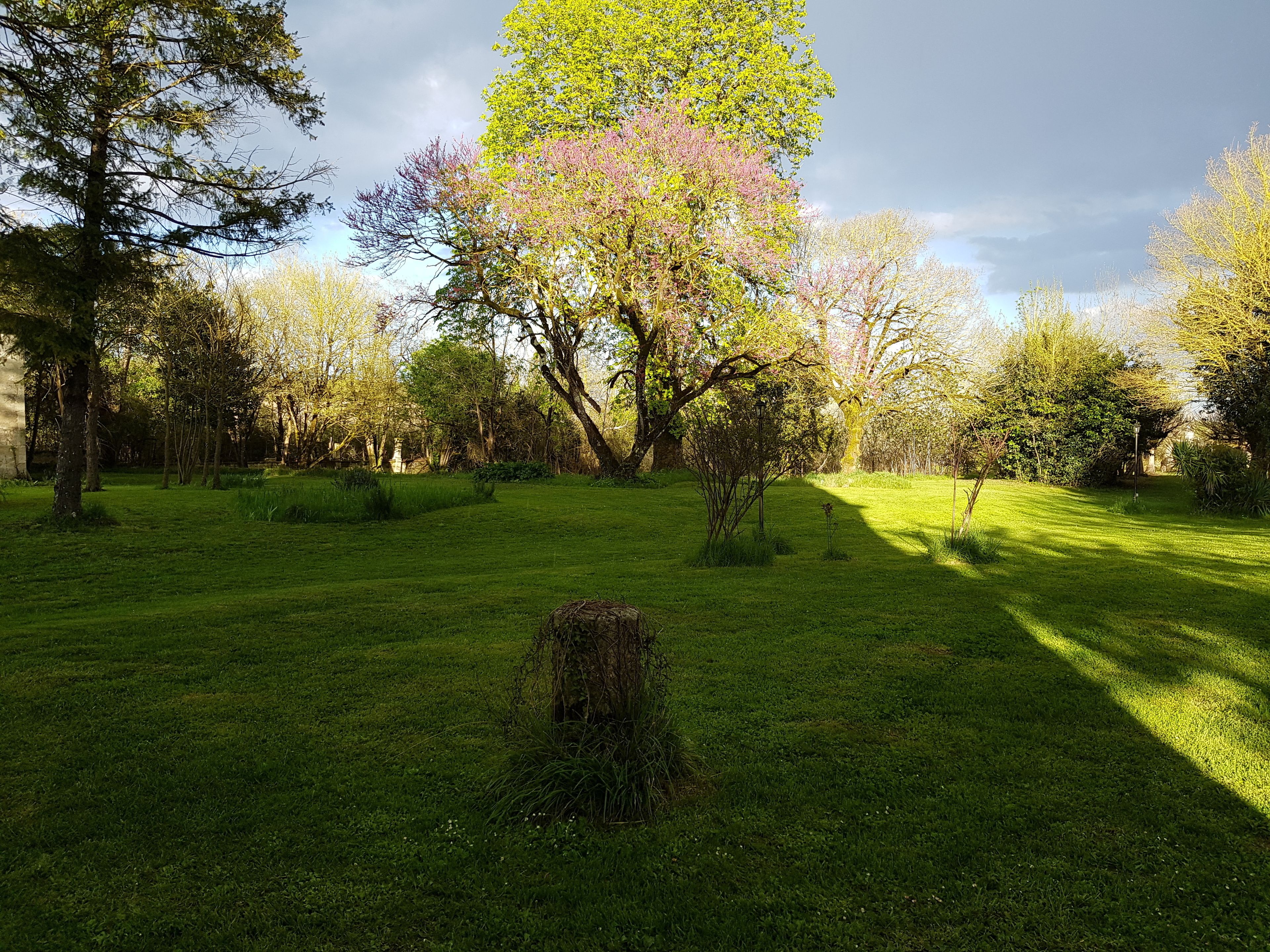 A grassy park with trees and a hay bale in the foreground.