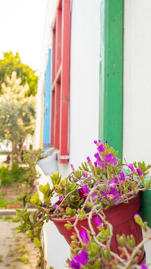 Exterior - Huzur Pansiyon (Mudanya)