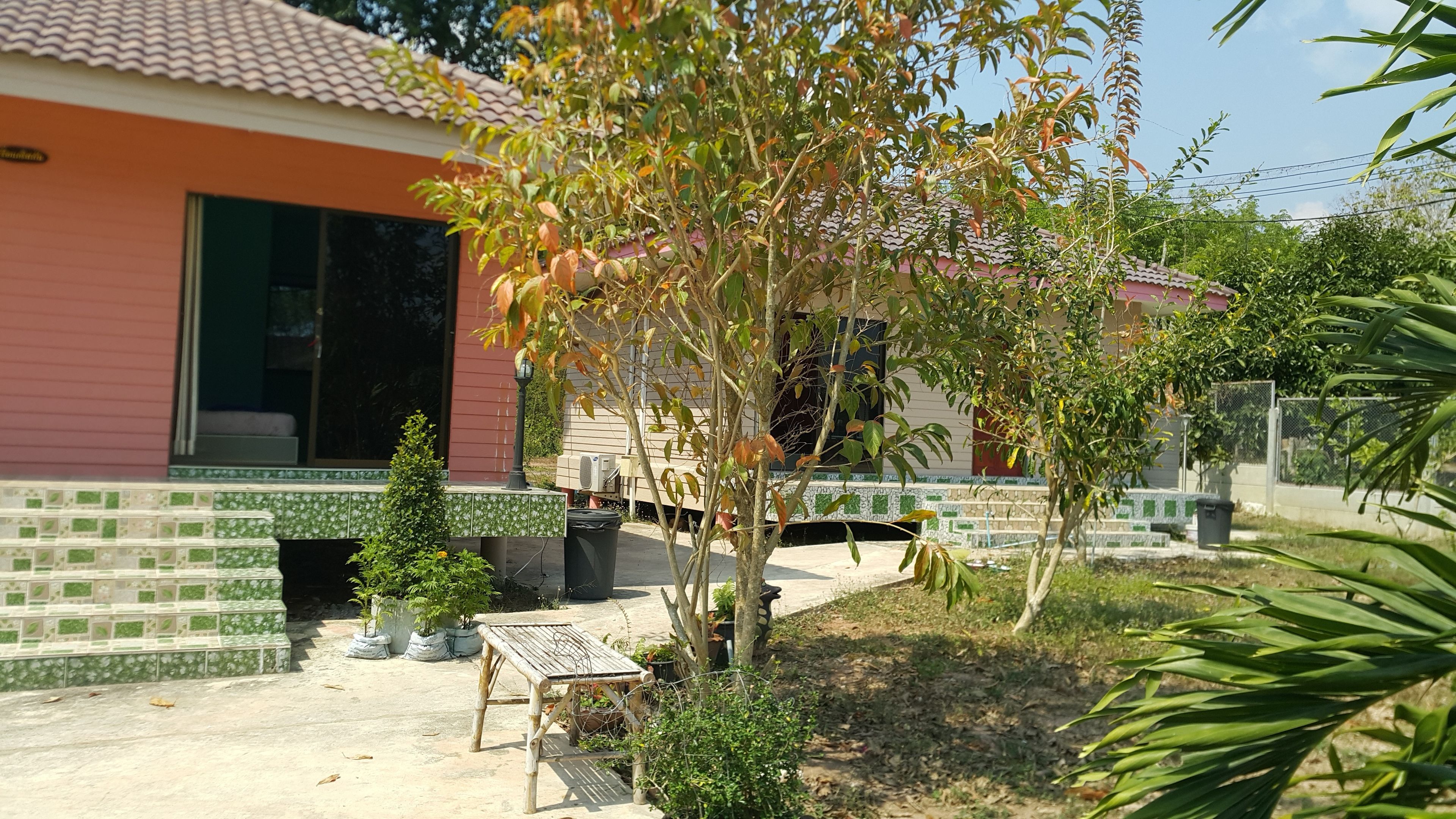Garden view