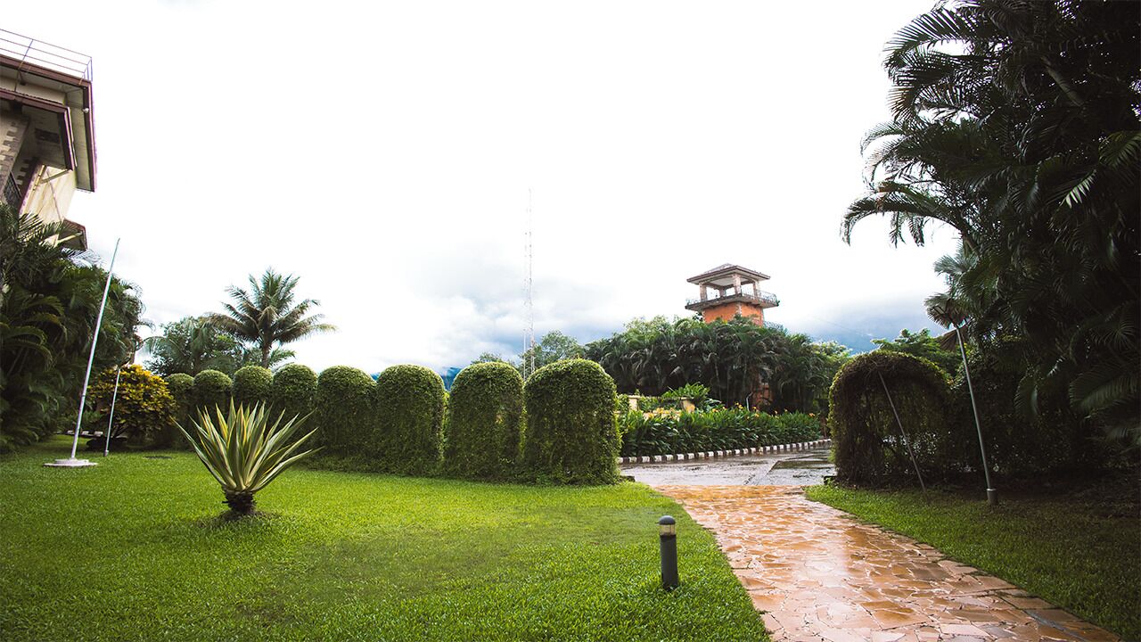 View from property