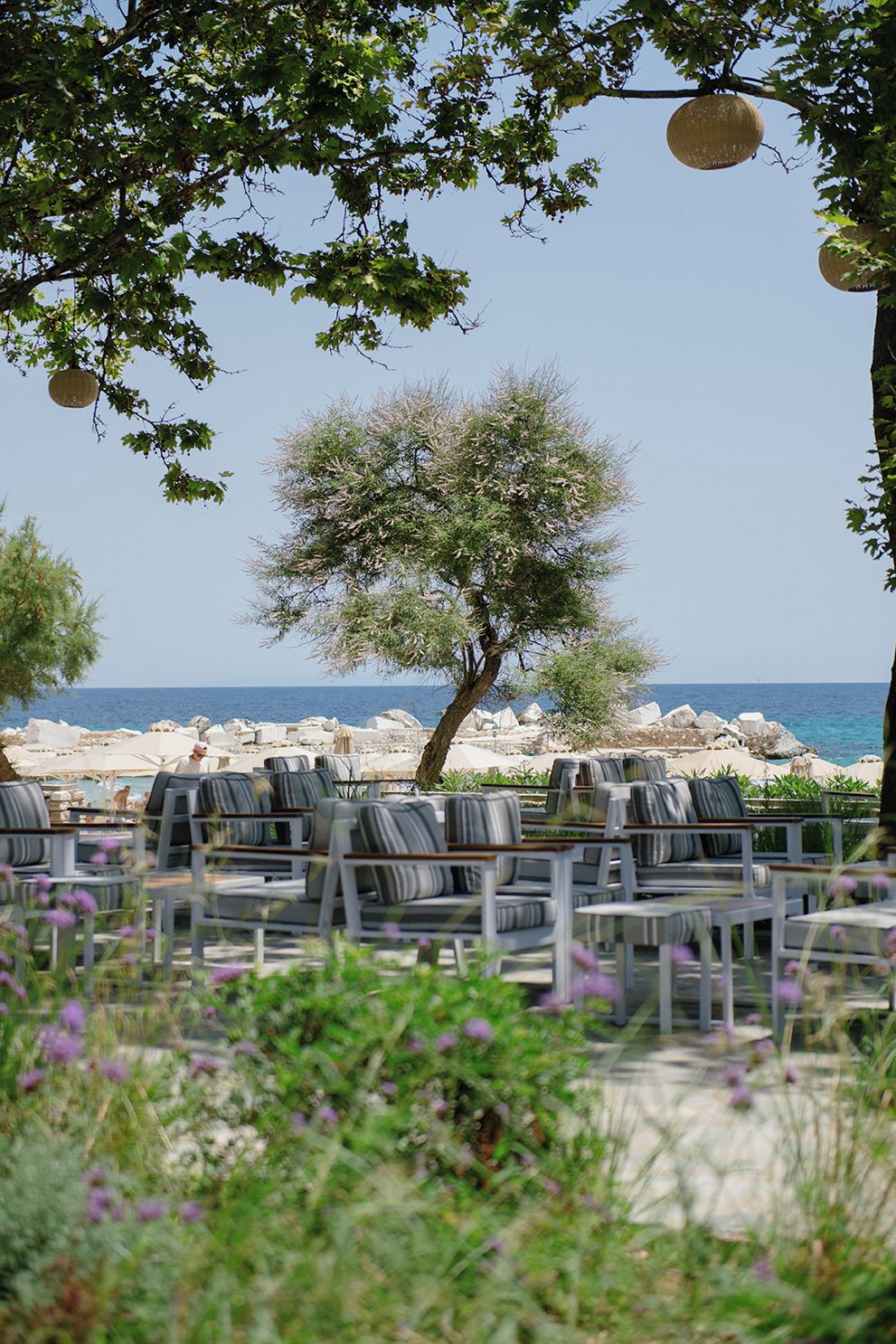 Espace extérieur aménagé avec des tables et des chaises, un arbre et une vue sur la mer.