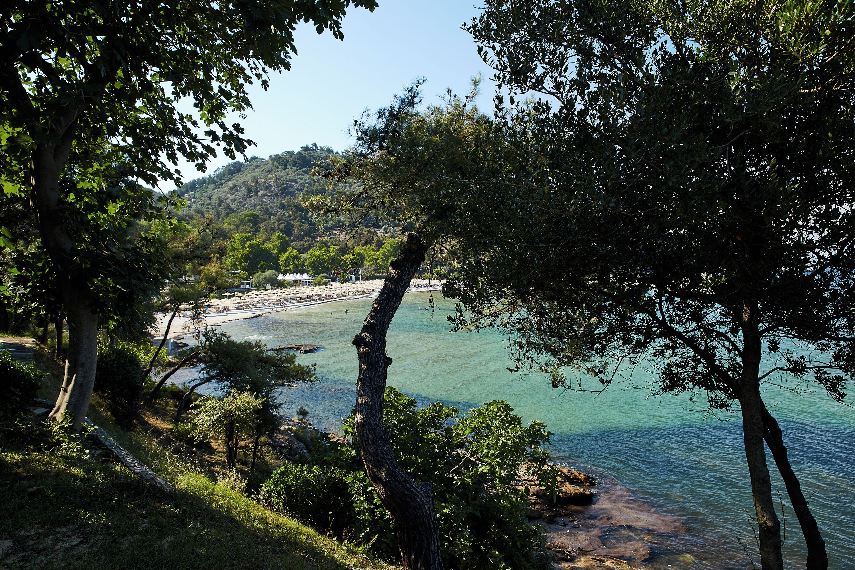 A coastal landscape with a beach, trees, and a clear view of the sea.