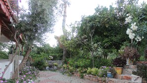 A garden with a paved walkway, various plants, and a stone wall. - Zeybek 2 Pension & Apart (Kas)