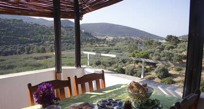 Zeybek 2 Pension & Apart